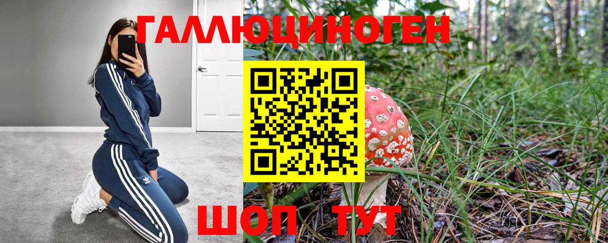 Галлюциногенные грибы GOLDEN TEACHER  Вход с VPN  Касимов 