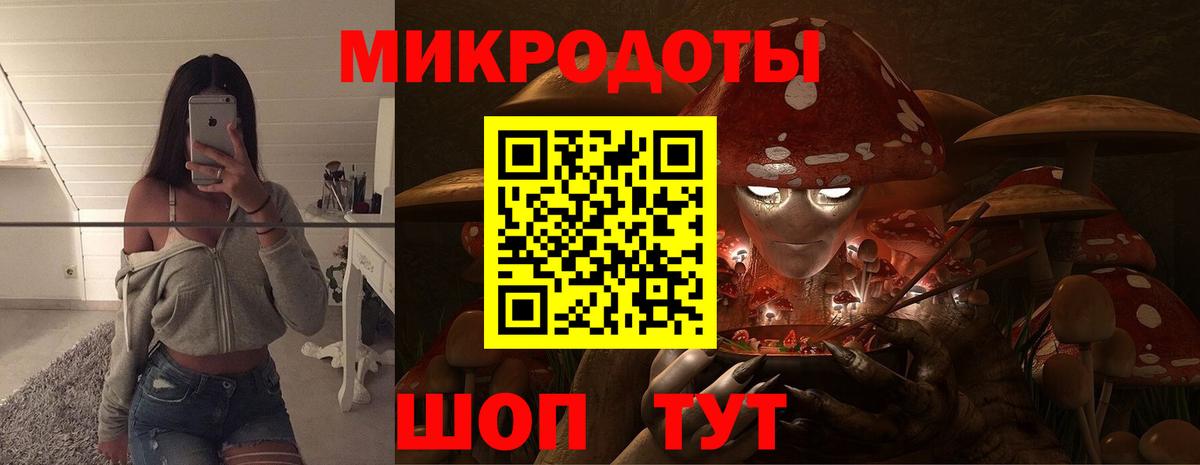 Галлюциногенные грибы Psilocybe Касимов